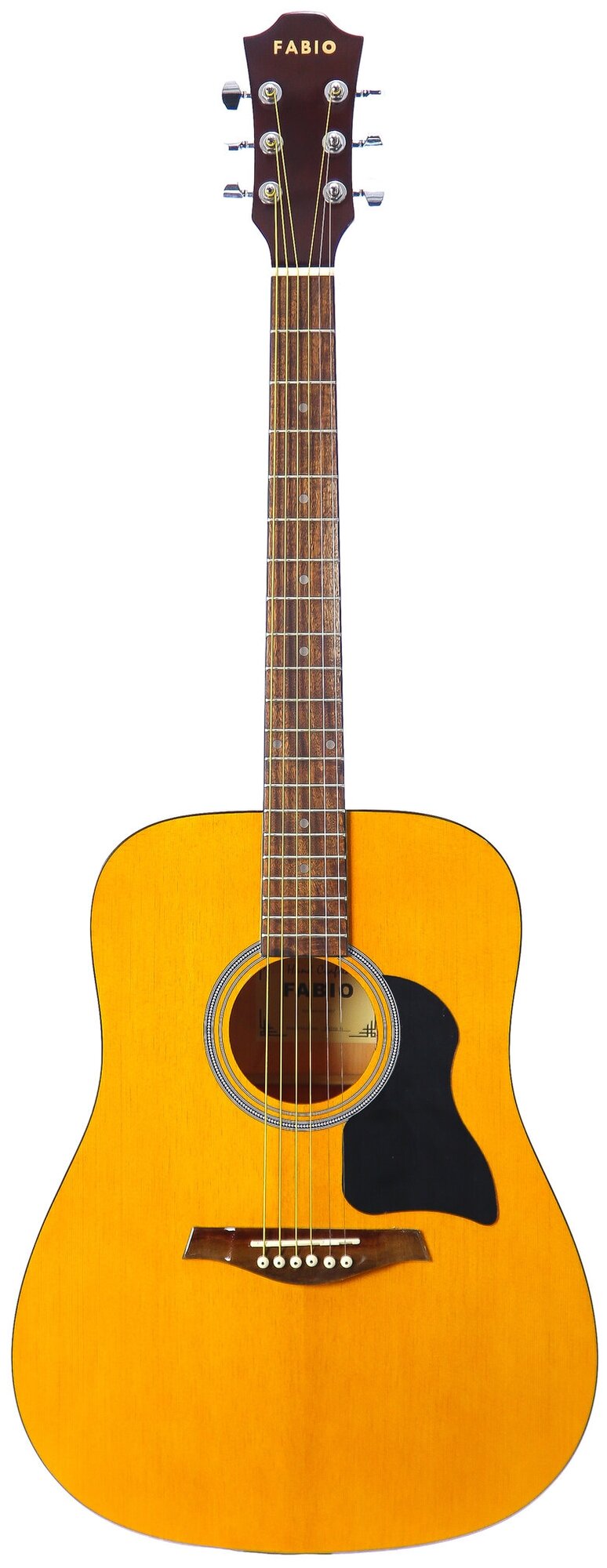 Акустическая гитара Fabio FW220 N