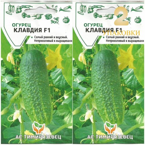 Огурец Клавдия F1 (10 семян), 2 пакета