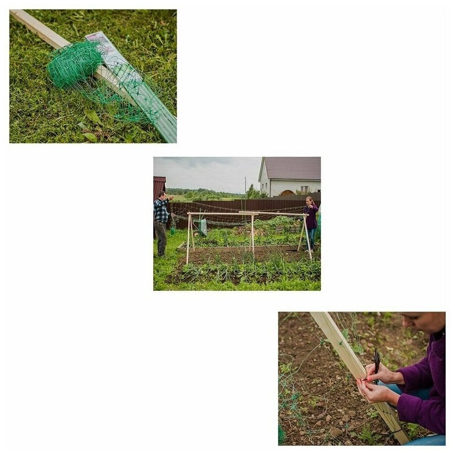 Садовая шпалерная сетка для подвязки огурцов, вьющихся растений, цветов, шпалер, ячейка 15х15 см, 2х5 м - фотография № 5