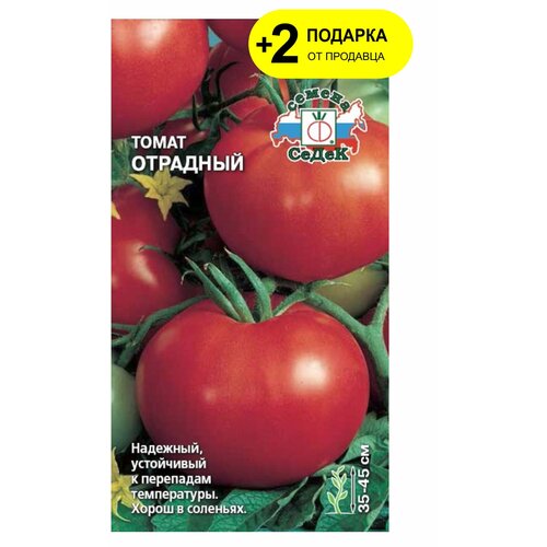 семена томат сибирские лапти 3 упаковки 2 подарка от продавца Семена Седек Томат. Отрадный