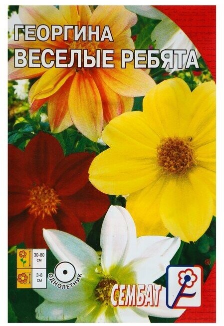 Семена цветов Георгина "Веселые ребята", О, 0,1 г