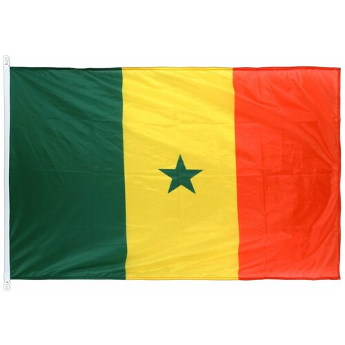 Флаг Сенегала с карабинами 90х135 см