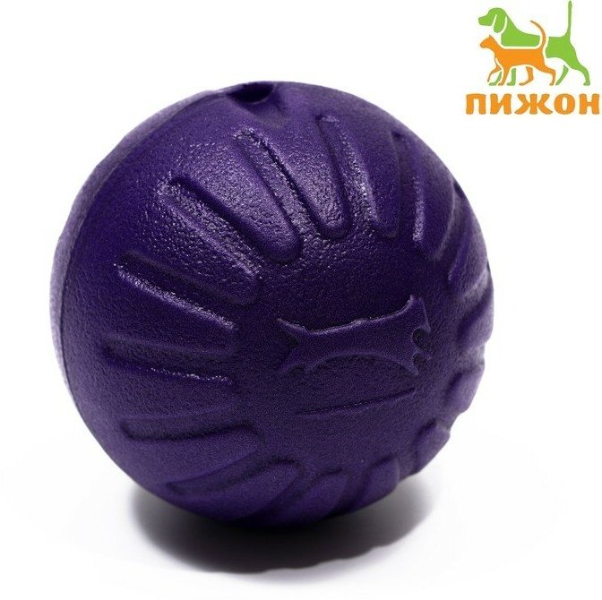 Пижон Мяч из EVA плавающий, для дрессировки, 7 см, фиолетовый