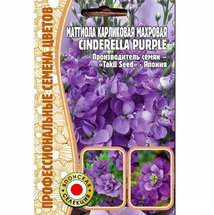 Семена Маттиолы карликовой махровой Cinderella purple (5 семян)