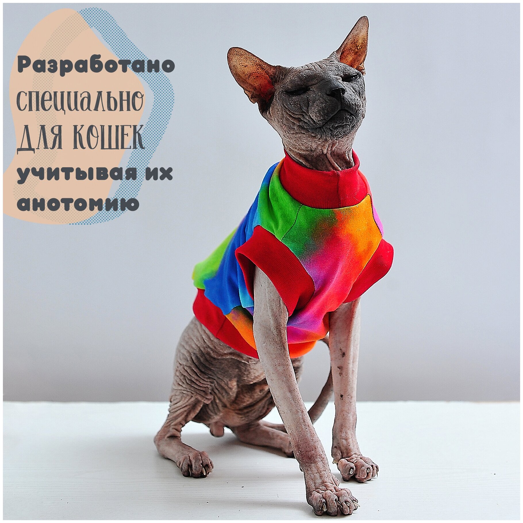 Одежда для кошек, котов и маленьких собачек - стильная майка с рисунком Домашняя радуга, подходит для сфинксов - фотография № 3