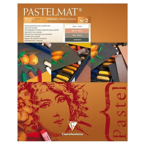 Альбом для пастели 12л. 240*300мм на склейке Clairefontaine "Pastelmat", 360г/м2, бархат, цв.блок, цена за штуку, 304034