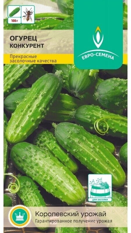 Огурец Конкурент. Семена. Скороспелый пчелоопыляемый сорт для открытого грунта. Плоды 10-14 см. длиной