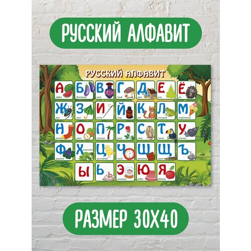 Обучающий плакат/обучающий материал/школьные плакаты/русский алфавит