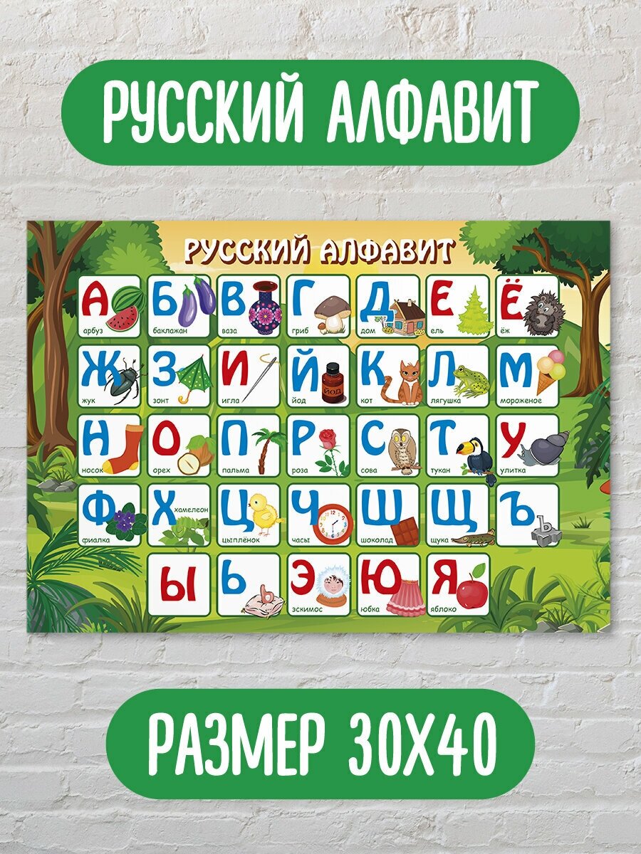 Обучающий плакат/обучающий материал/школьные плакаты/русский алфавит