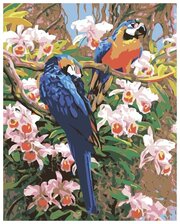 Картина по номерам "Тропические попугаи", 40x50 см