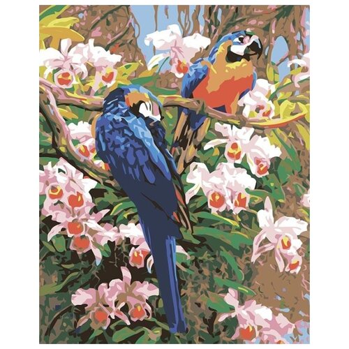 Картина по номерам Тропические попугаи, 40x50 см картина по номерам яркие попугаи 40x50 см