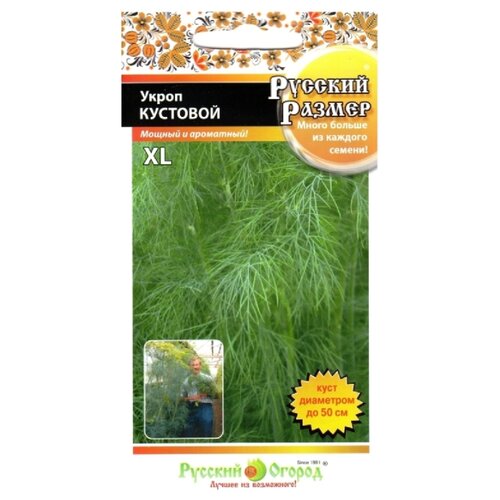Семена Укропа кустового Русский размер XL (200 семян)