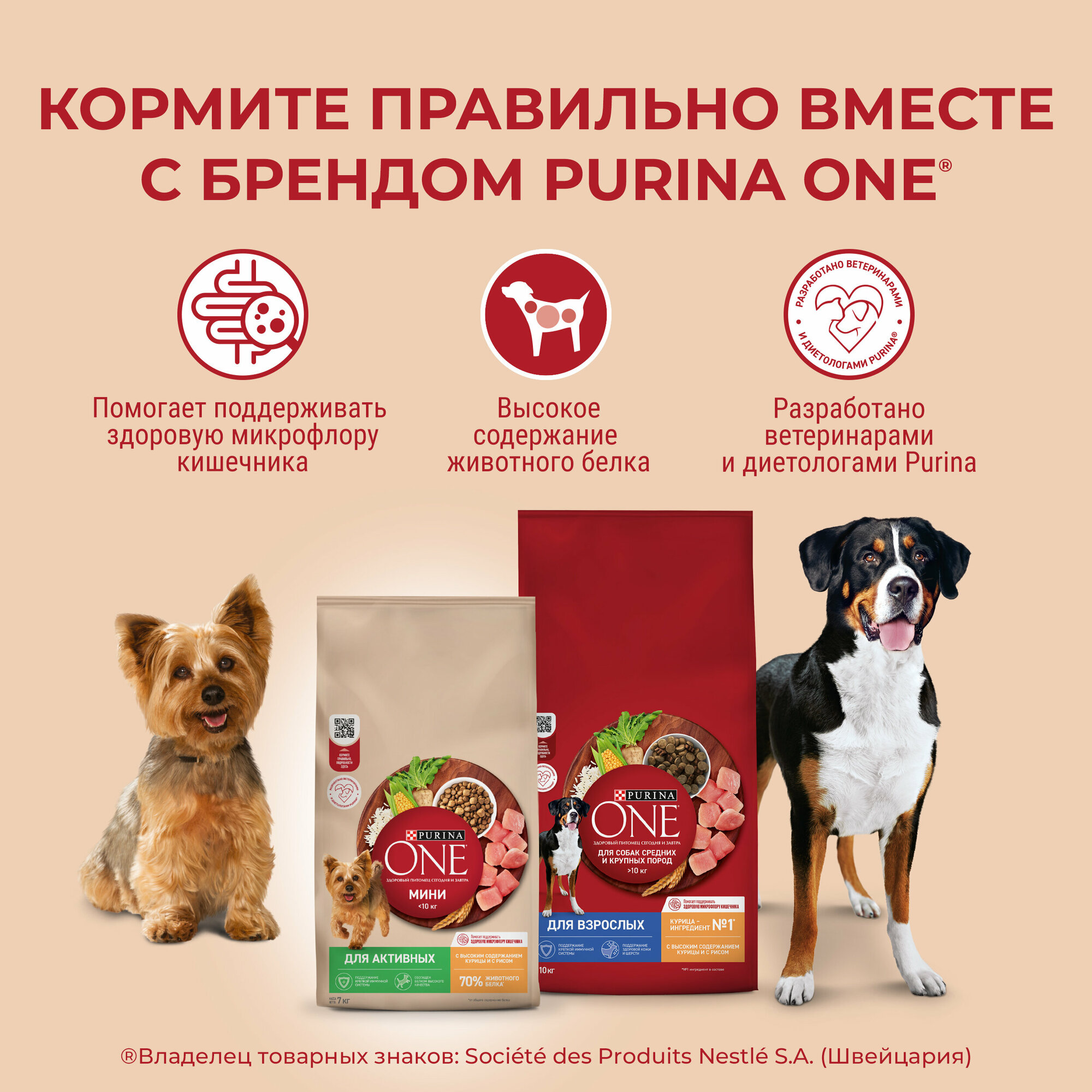 Сухой корм для взрослых собак мелких пород Purina One с высоким содержанием говядины и рисом 3 кг