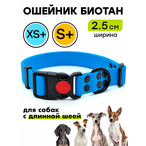 Ошейник из биотана 22-34 см (XS+), 25 мм , Woofy "Iron", для маленьких собак, водостойкий, голубой