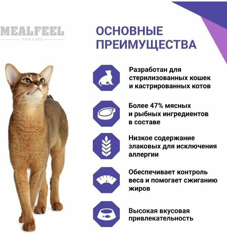 Mealfeel Корм сухой для стерилизованных кошек с лососем, 400г, 2 шт - фотография № 2