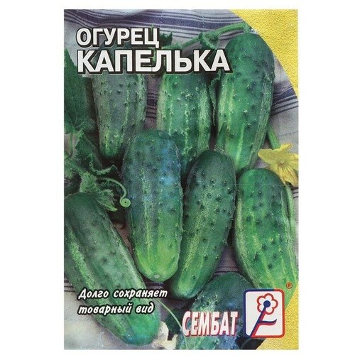 Семена Огурец Капелька, 0,5 г 6 шт