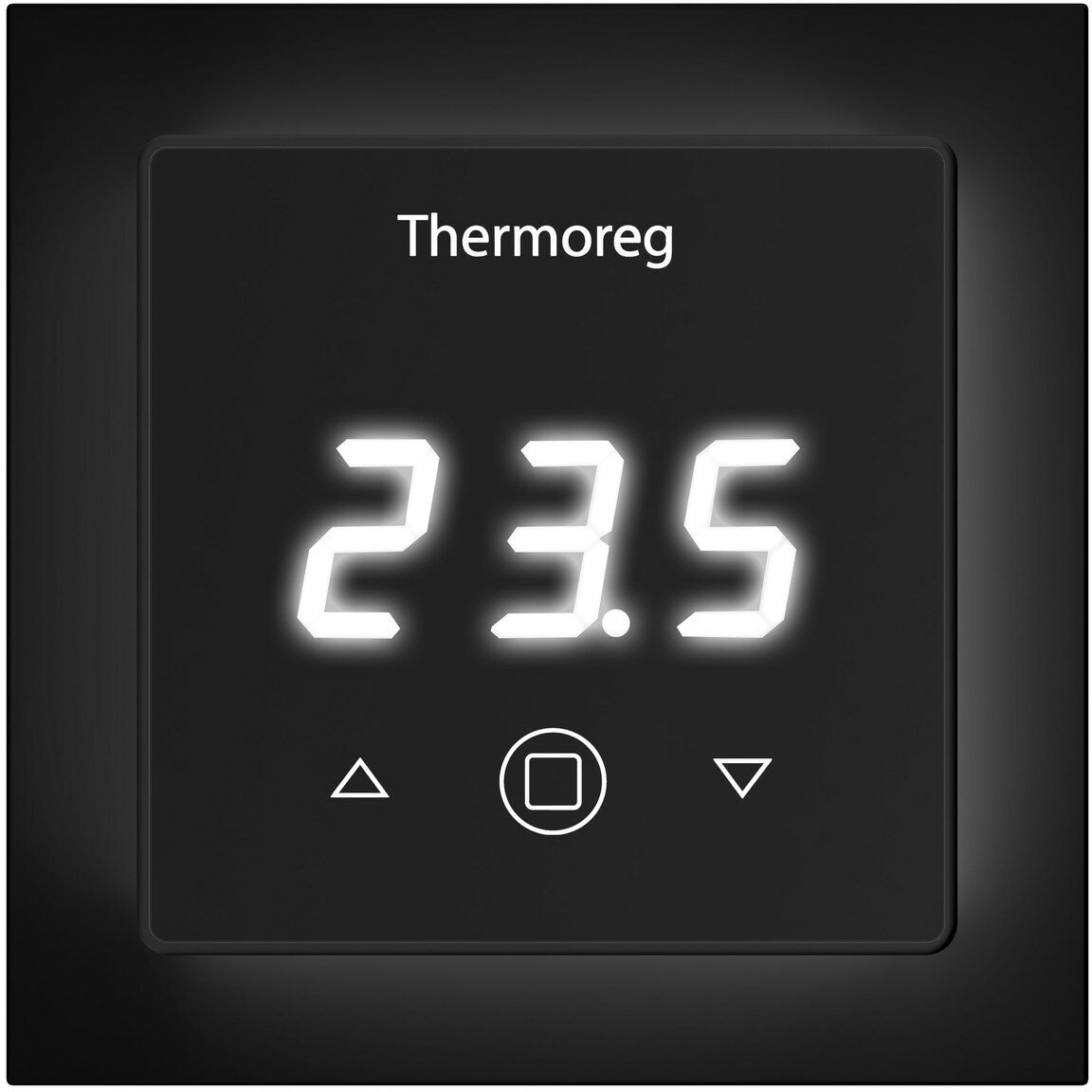 Цифровой Thermo Thermoreg TI-300 Black