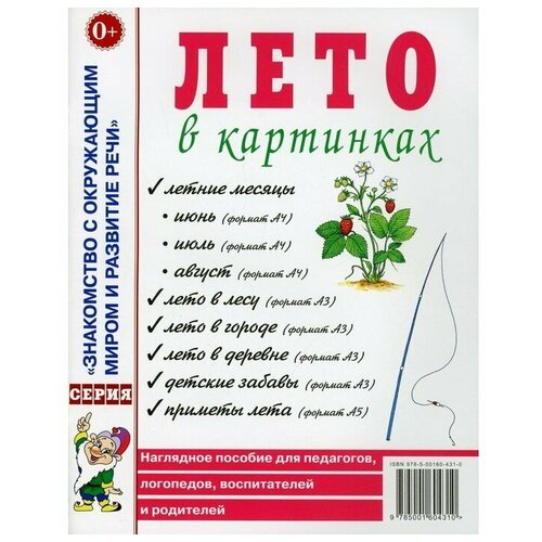 Лето в картинках. Наглядное пособие для педагогов, логопедов, воспитателей и родителей