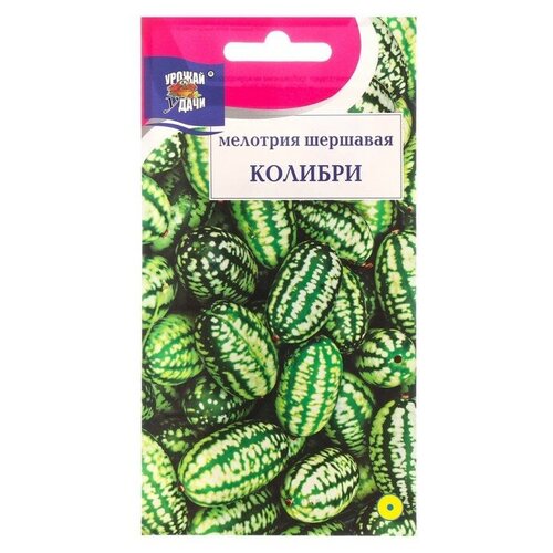 Семена Мелотрия шершавая Колибри, 0.015 г