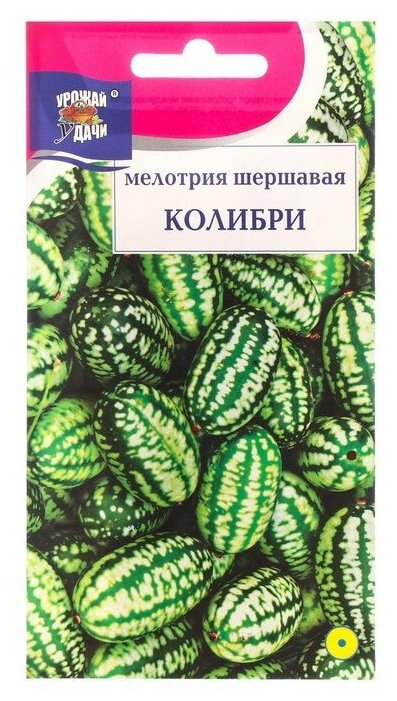Семена Мелотрия шершавая "Колибри", 0,015 г