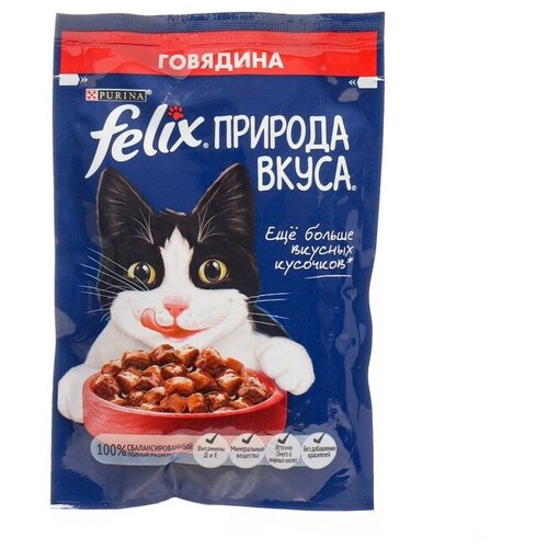 Влажный корм Felix Природа вкуса для кошек, говядина, 75 г felix влажный корм для взрослых кошек природа вкуса говядина 75 г 6 шт