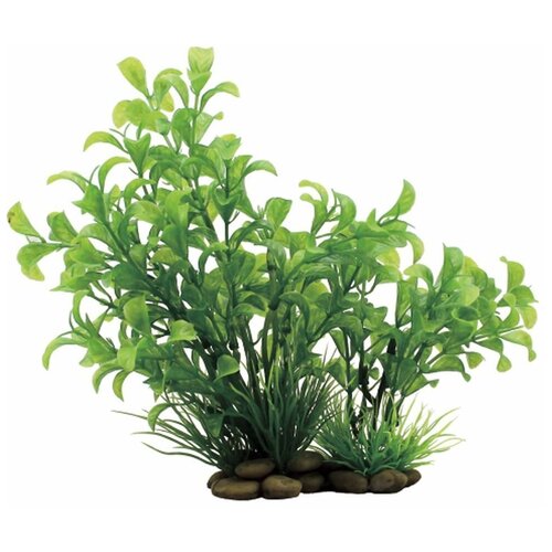 Искусственное растение ArtUniq Людвигия 20 см 20 см зеленый искусственное растение artuniq бамбук зеленый в миксе растений 15 см 15 см зеленый