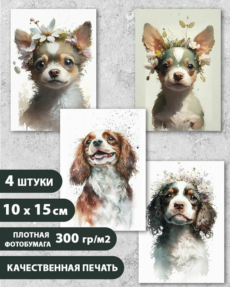 Набор авторских открыток Портрет/Животные/Собачки 10.5х15 см 4 шт на подарок и в коллекцию InspirationTime