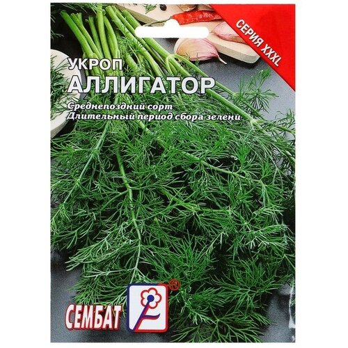 Семена ХХХL Укроп Аллигатор, 20 г семена 10 упаковок укроп аллигатор 2г ср агрос