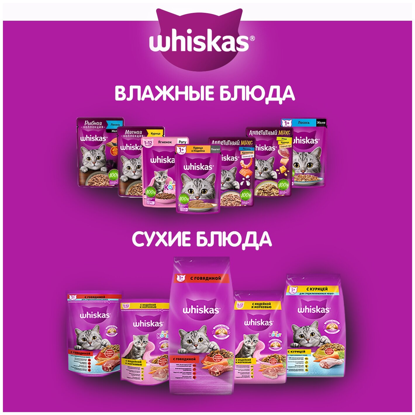 Влажный корм WHISKAS® для кошек, рагу с курицей, 75г*28шт - фотография № 9