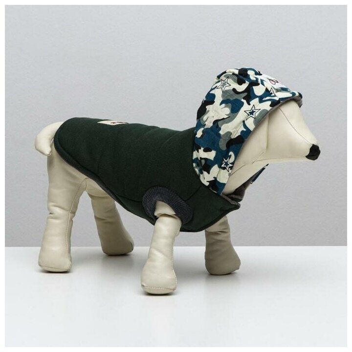 Куртка для собак, S (ДС 20 см, ОШ 23 см, ОГ 32 см), тёмно-зелёная - фотография № 2