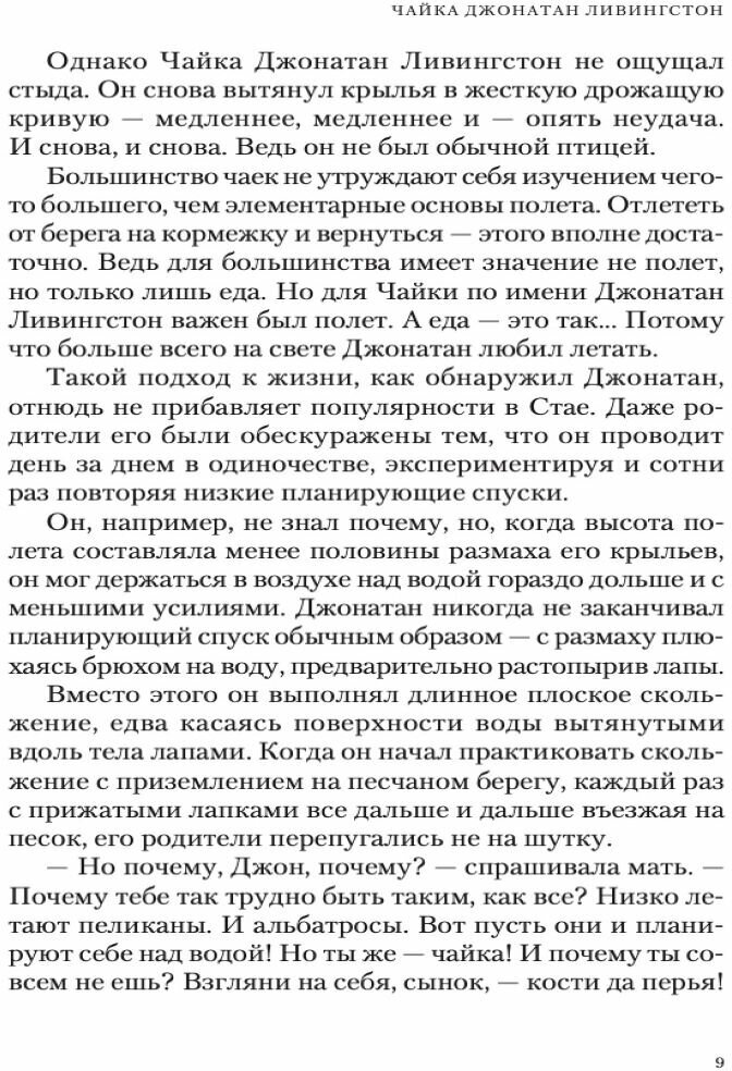 Чайка Джонатан Ливингстон (новая авторская версия) - фото №4