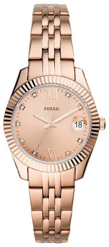 Наручные часы FOSSIL ES4898