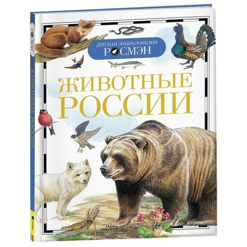 Росмэн Детская энциклопедия «Животные России» энциклопедии росмэн энциклопедия животные инфографика