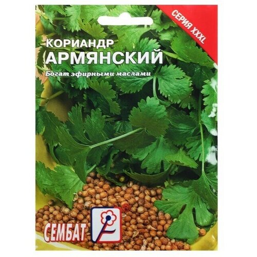 Семена ХХХL Кориандр Сембат, Армянский, 20 г 6 упаковок семена кориандра каждый день армянский 3 г 1 пакет 10 шт