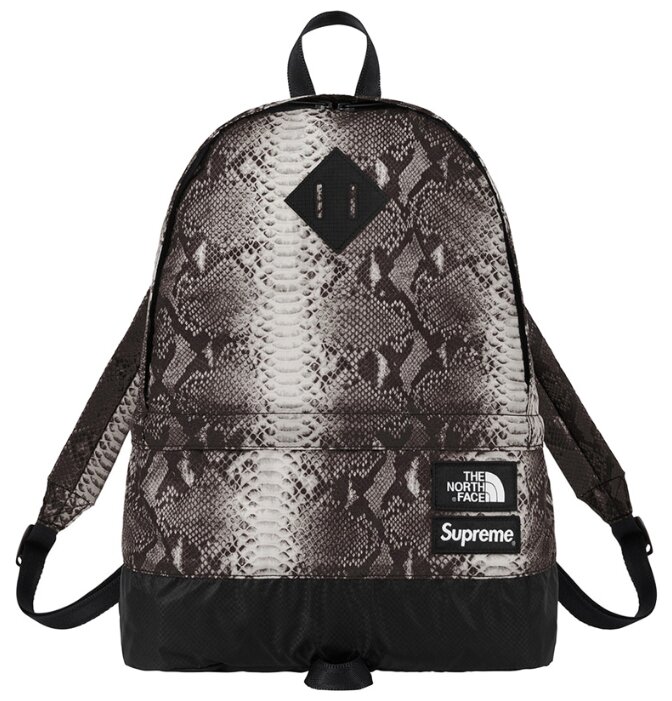 north face snakeskin