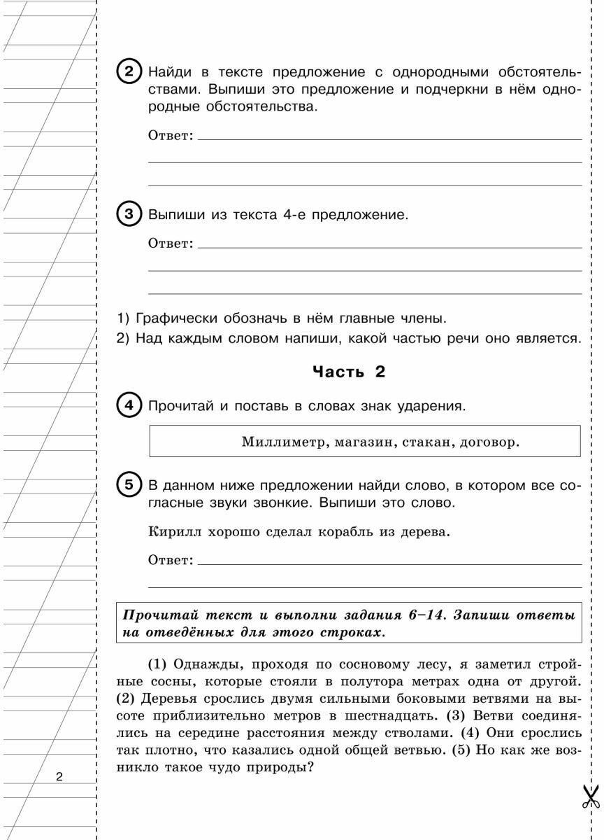 Русский язык за курс начальной школы. Интенсивный курс подготовки к ВПР - фото №4