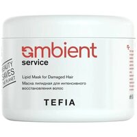 Маска TEFIA липидная для интенсивного восстановления волос Lipid Mask for Damaged Hair, 500 мл