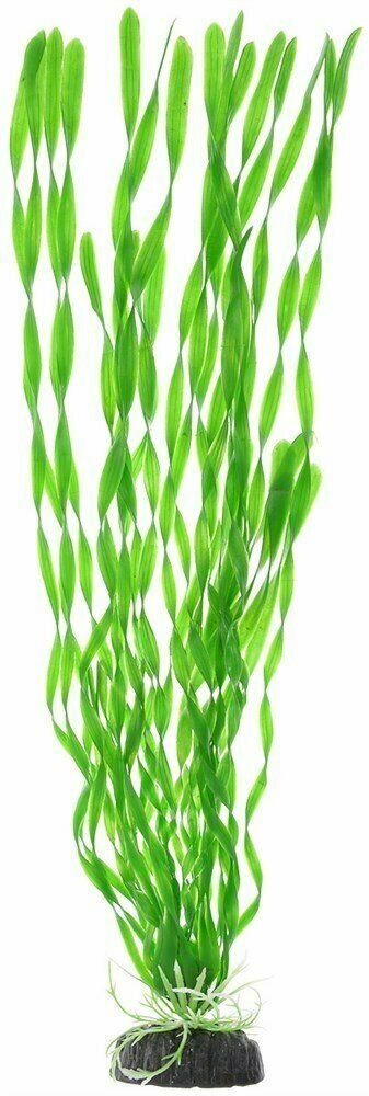 Пластиковое растение Barbus Валиснерия спиральная 50 см.