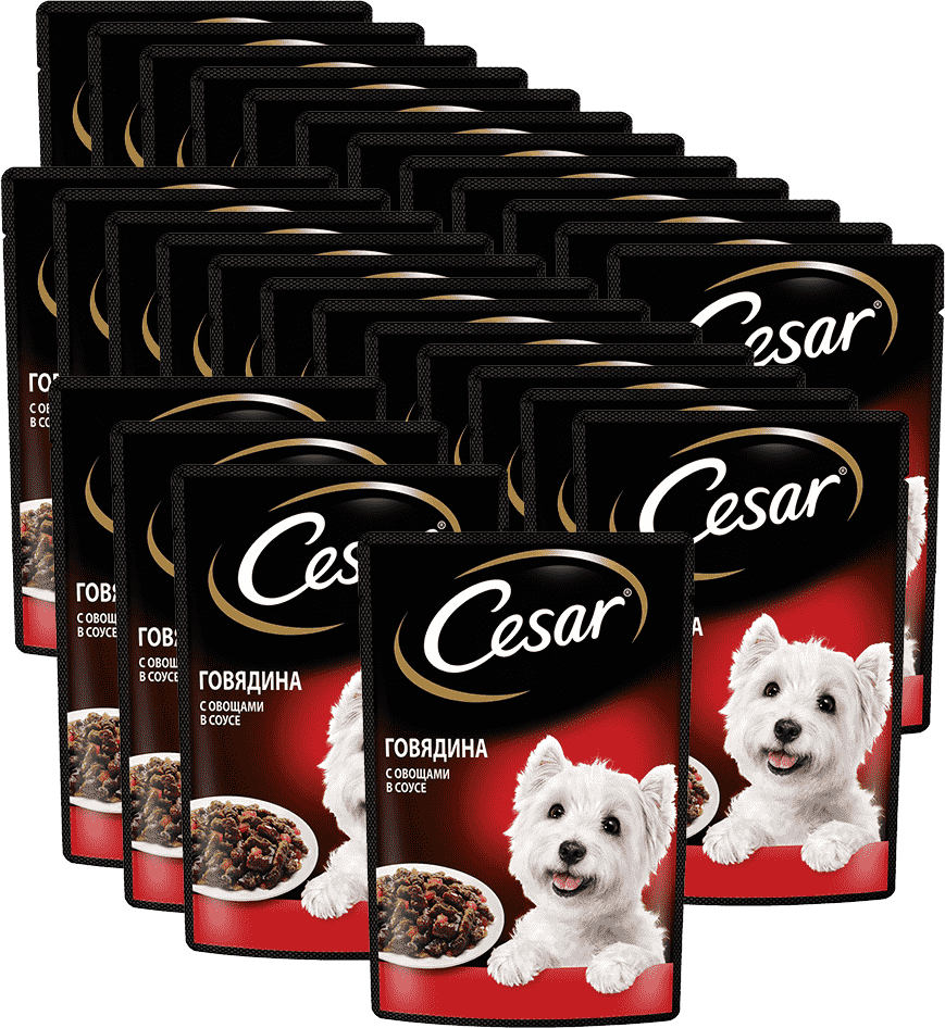 Корм для собак CESAR Говядина с овощами пауч 85г (упаковка - 28 шт)