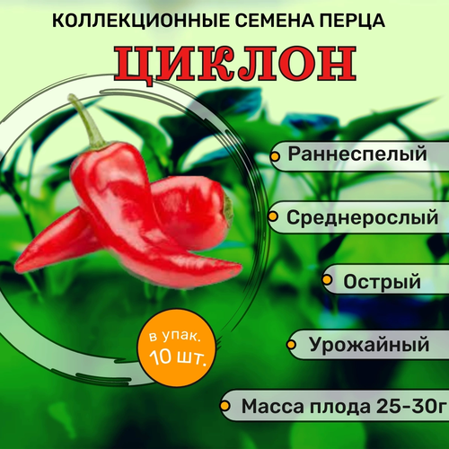 коллекционные семена перца острого белла Коллекционные семена перца острого Циклон