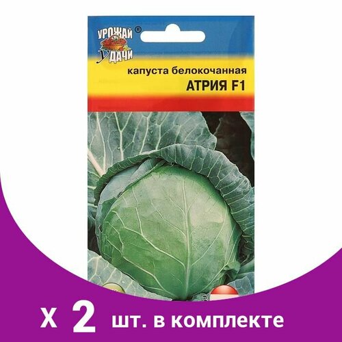 Семена Капуста б/к 'Атрия' F1,10-11 шт. (2 шт)