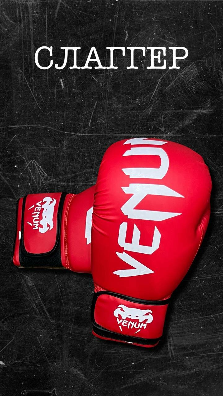 фото Боксерские перчатки Venum (10 oz)