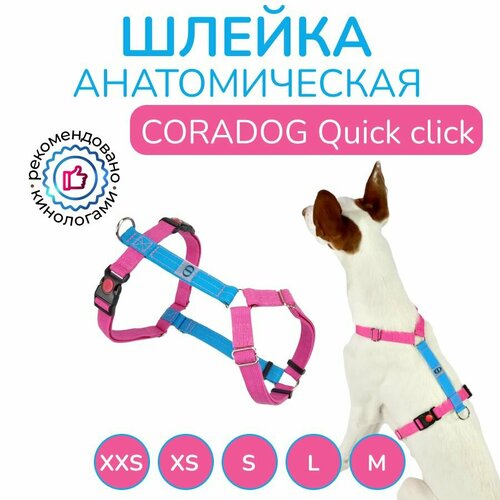 Шлейка прогулочная анатомическая для средних пород собак, CORADOG Quick click, размер S, цвет голубой, ярко розовый