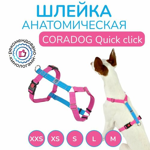 Шлейка прогулочная анатомическая для средних пород собак CORADOG Quick click размер S цвет голубой ярко розовый 2950₽