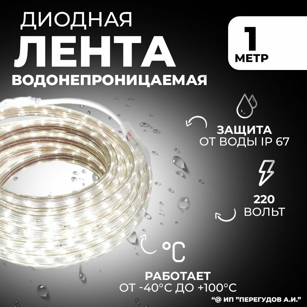 Светодиодная лента водонепроницаемая 1 метр 220в холодный свет