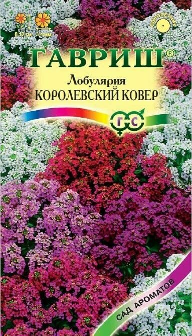 Семена Лобулярия Королевский ковер 0,05г Одн 12см (Гавриш) Сад ароматов