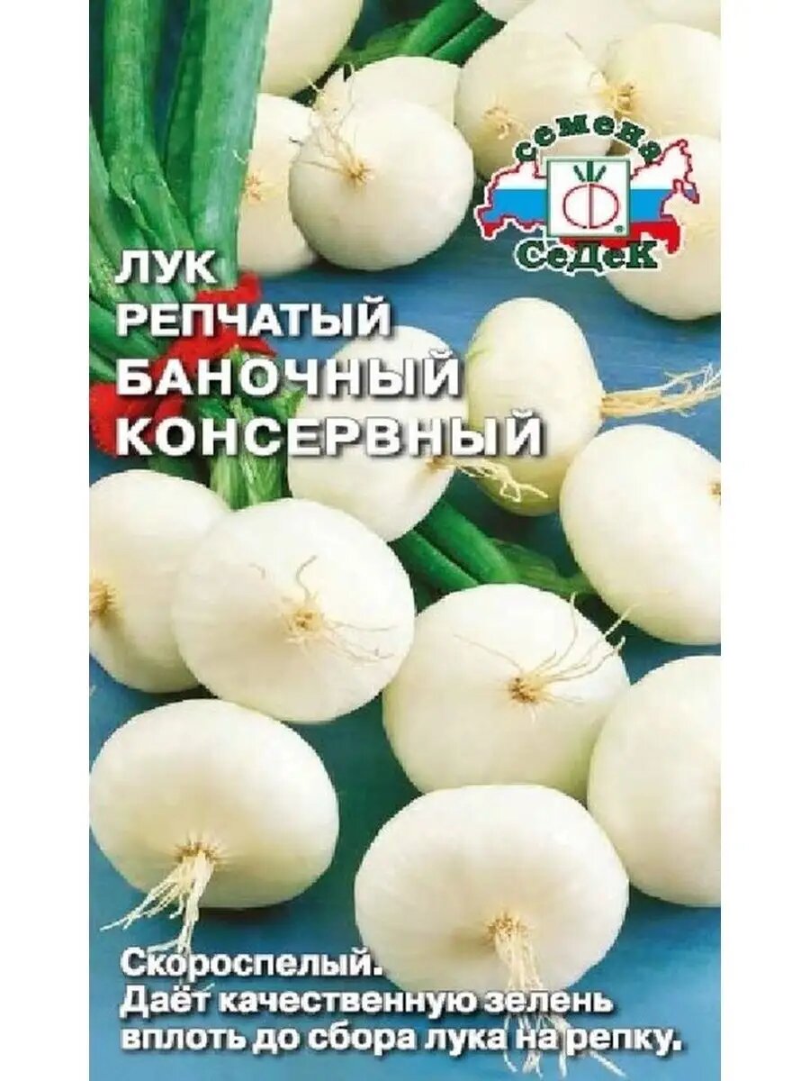Лук репчатый Баночный консервный
