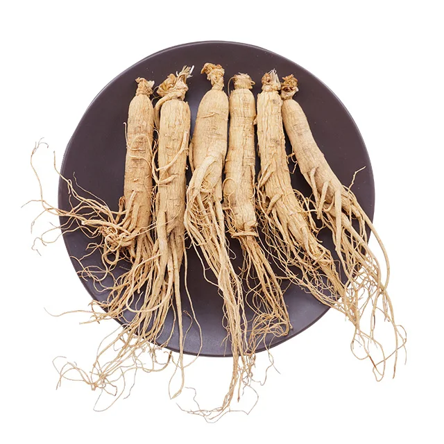 Корень Женьшеня цельный Ginseng Root 2 шт. Ginseng Root 人参根 (ТКМ)