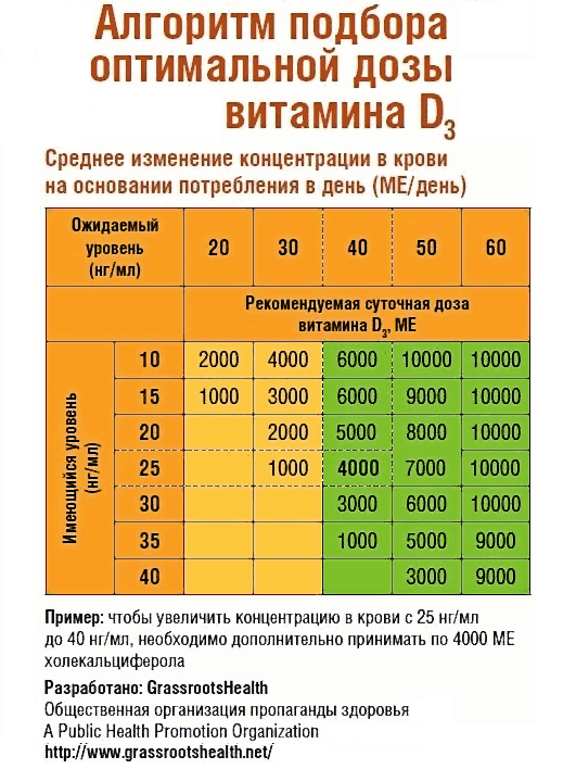 Витамин Д3 XL Vitamin D3 2000 ME, в оливковом масле, 180 капсул — фото 1