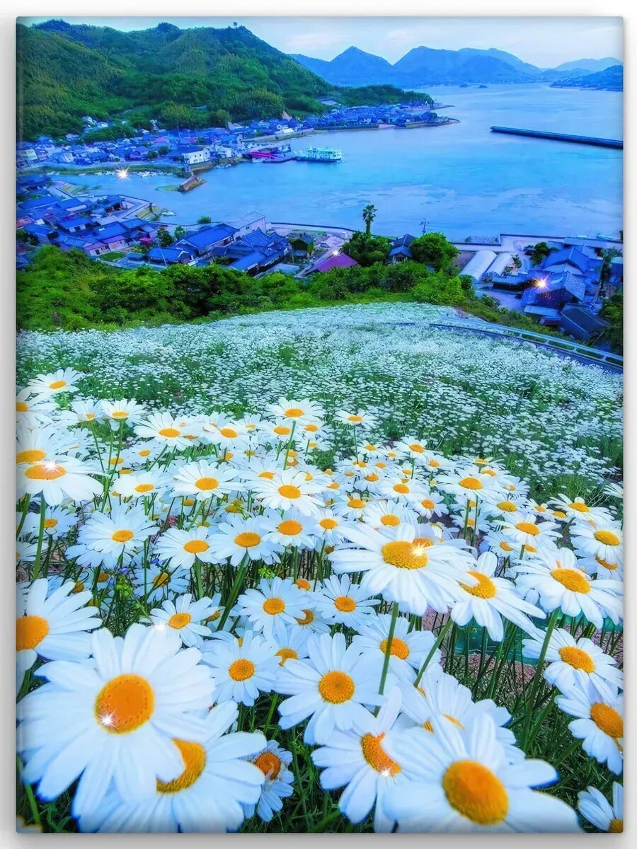 Алмазная мозаика ALMAZIKA 